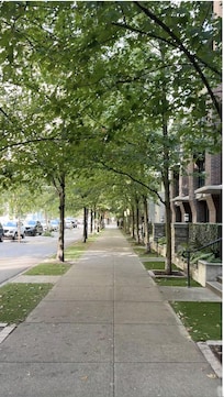 This is the street the apartment is on.