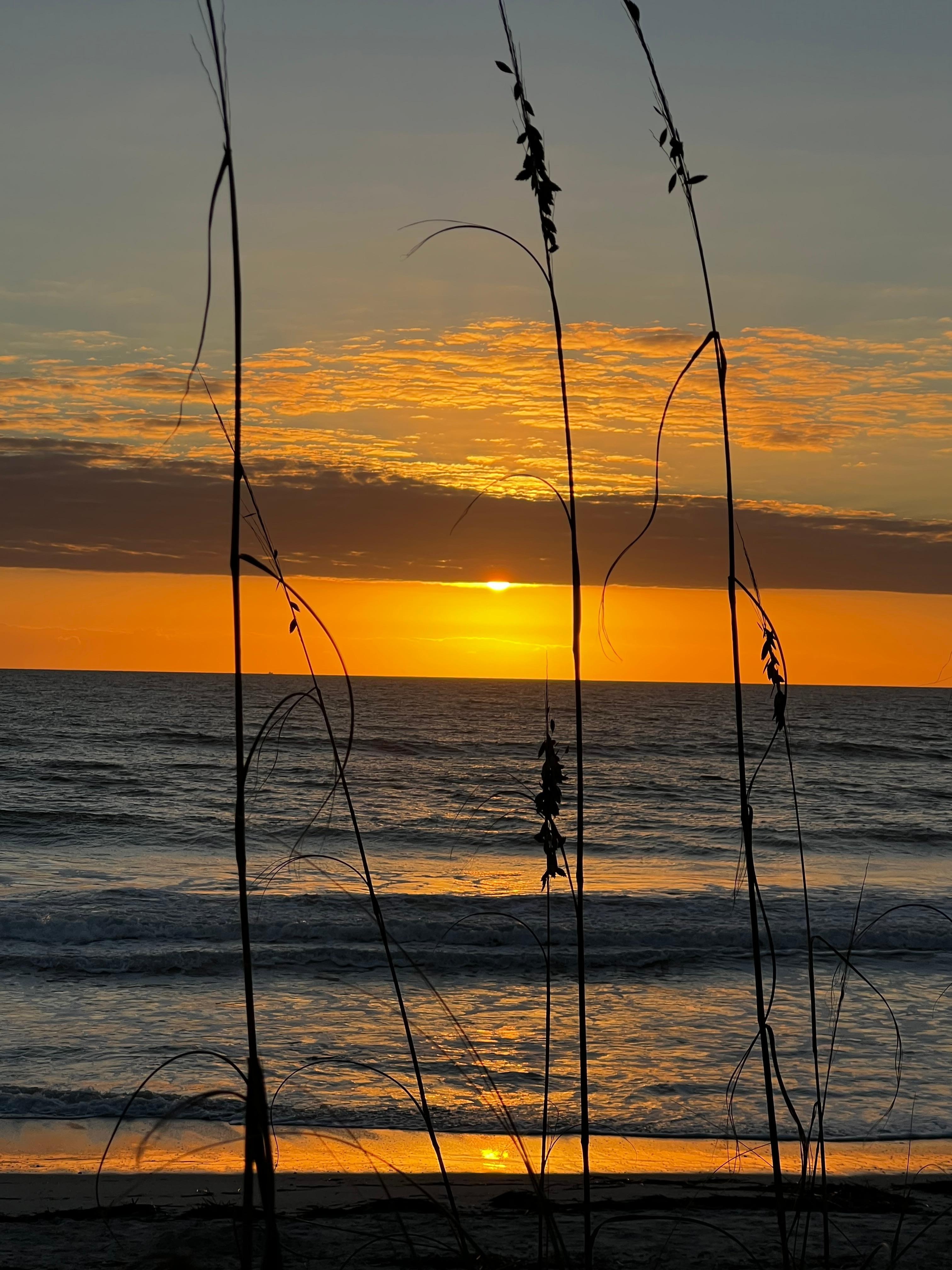 Lovely morning walks on beach!