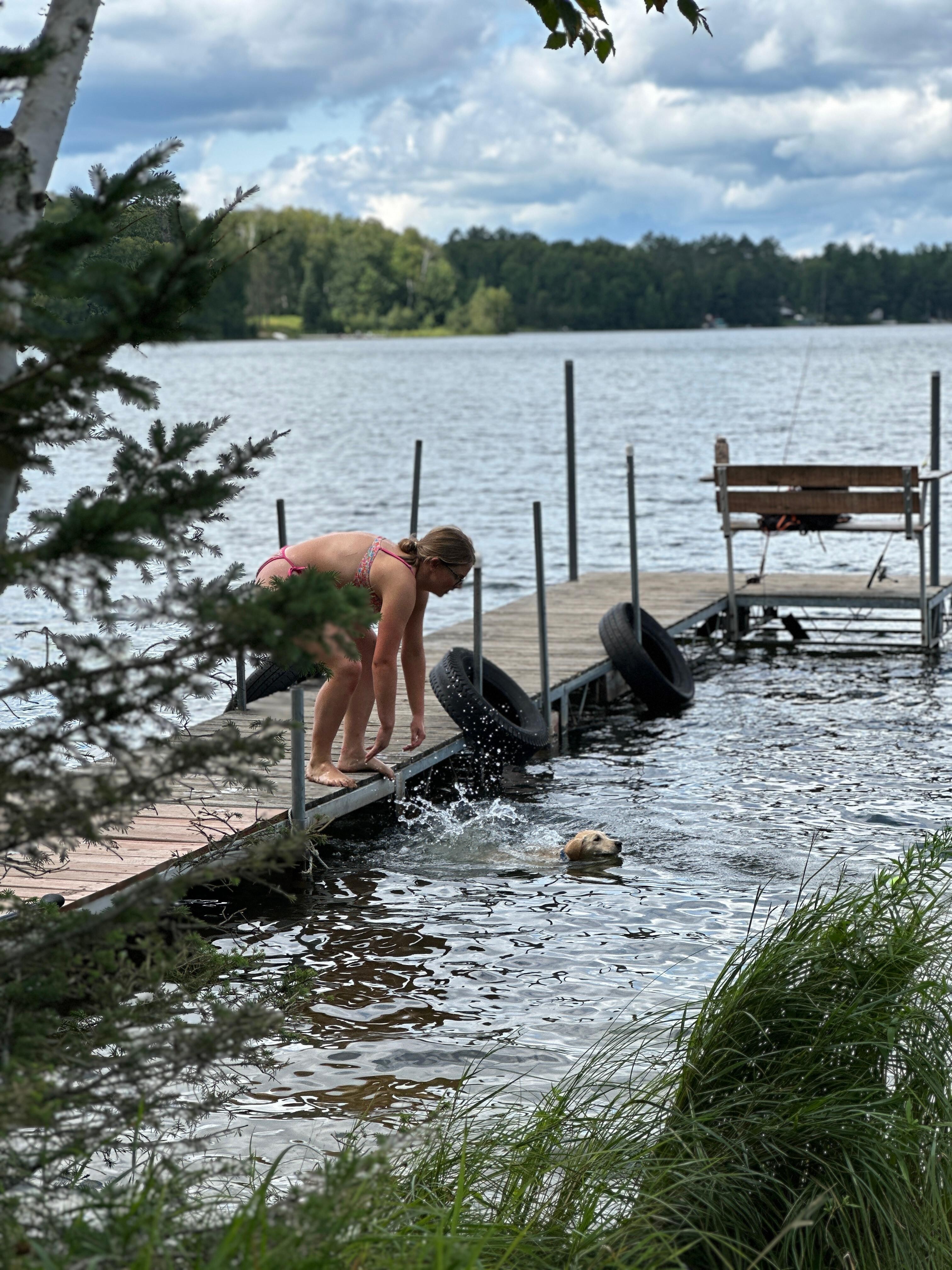 Very dog friendly place 