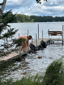 Very dog friendly place