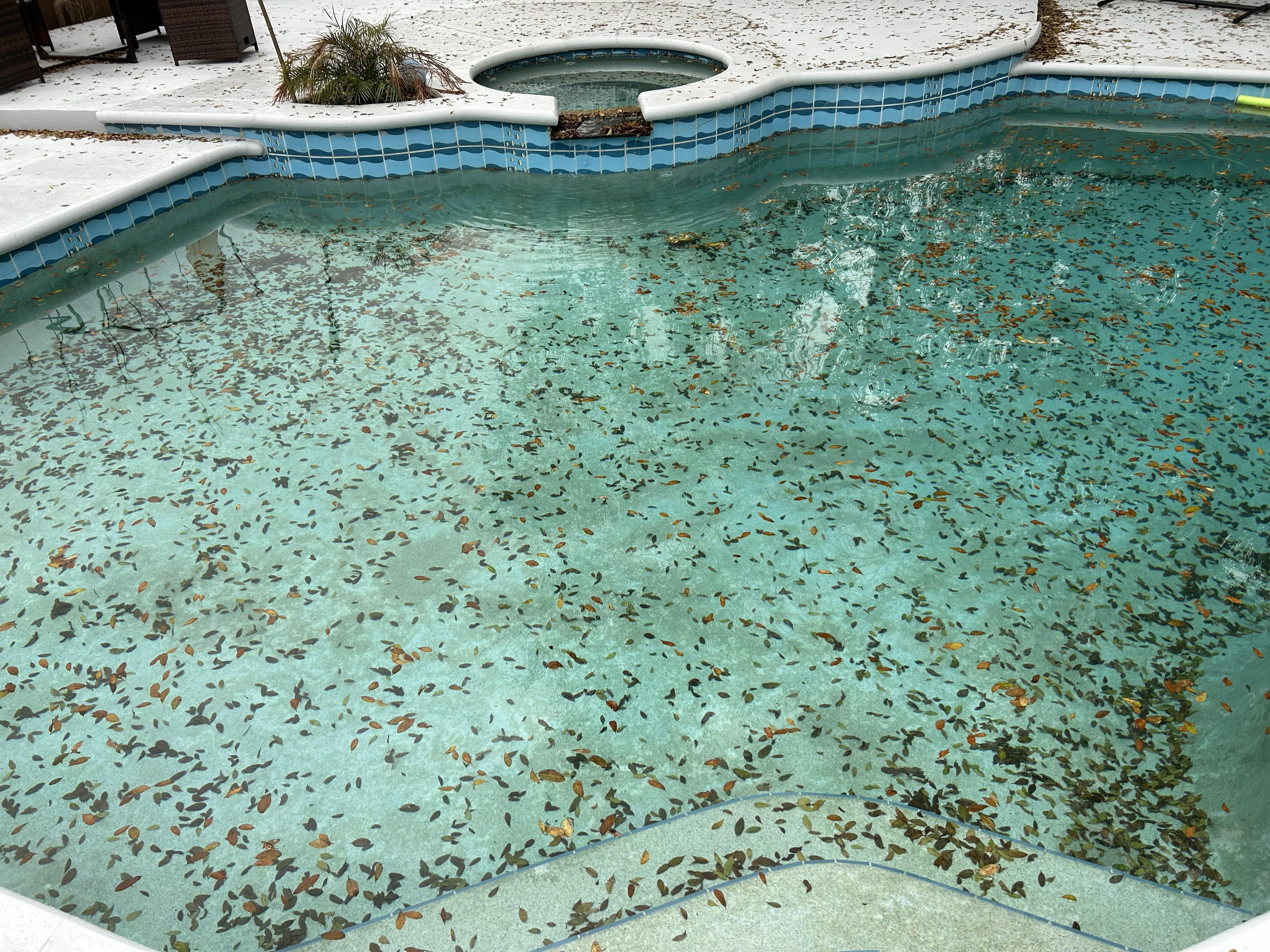 Pool day after it was cleaned.