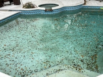 Pool day after it was cleaned.
