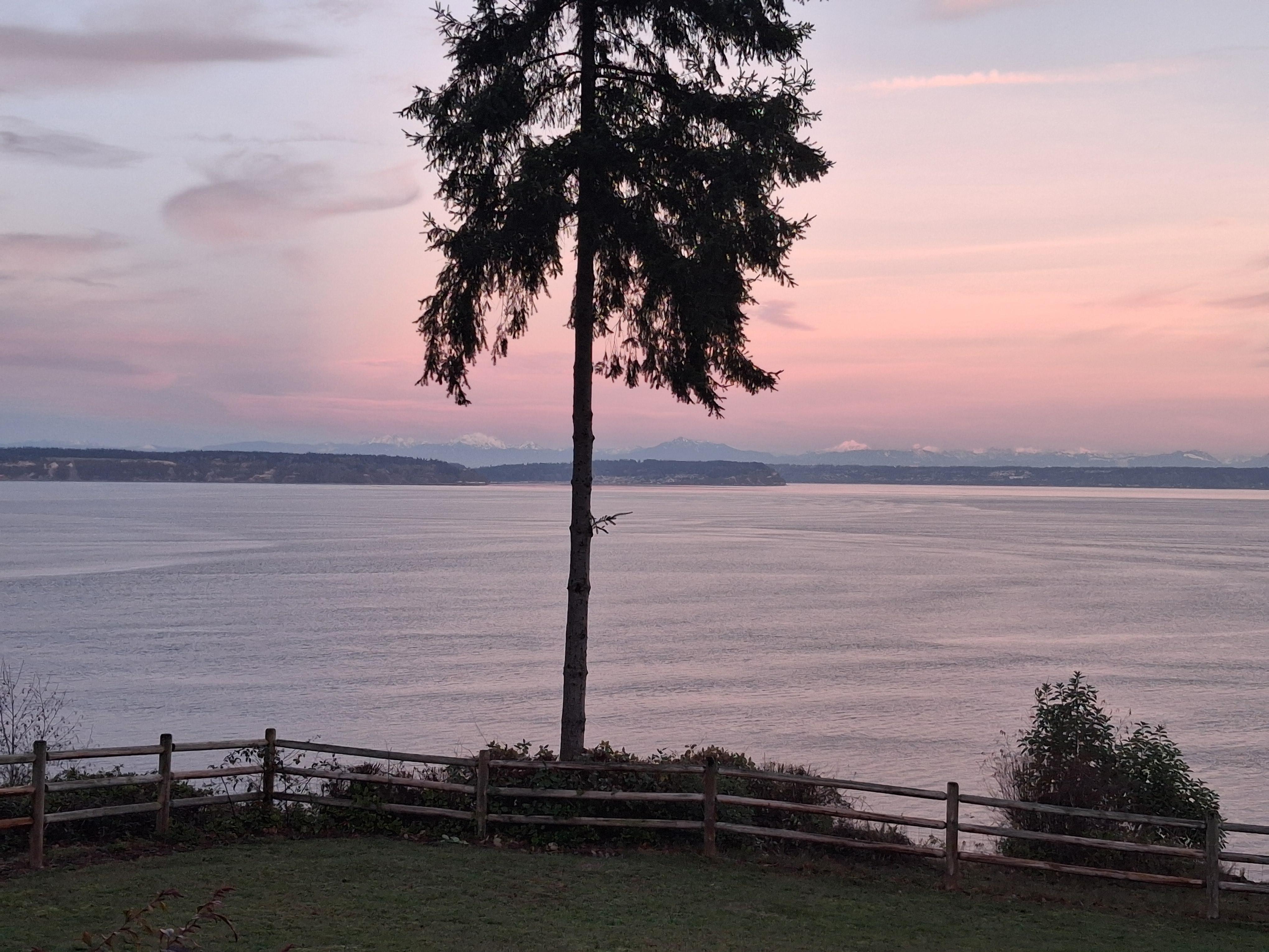 View of Puget Sound