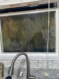 mold on window
