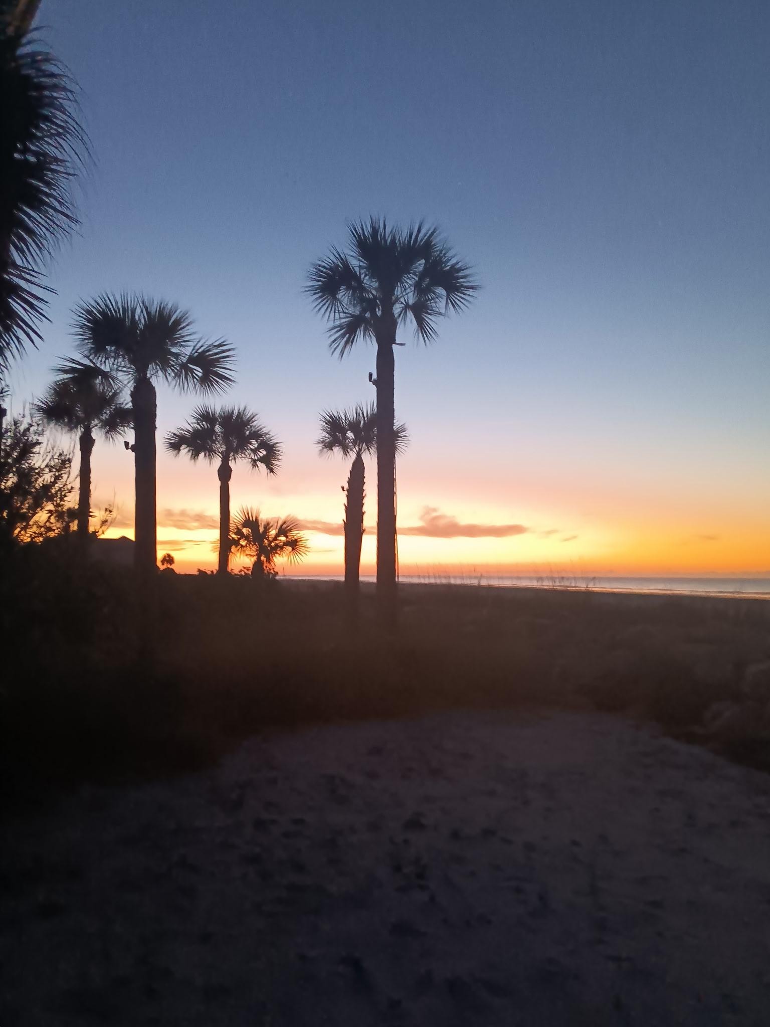 Sun rises are just Beautiful and the moon shines on the ocean so beautiful 