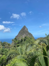 View from porch