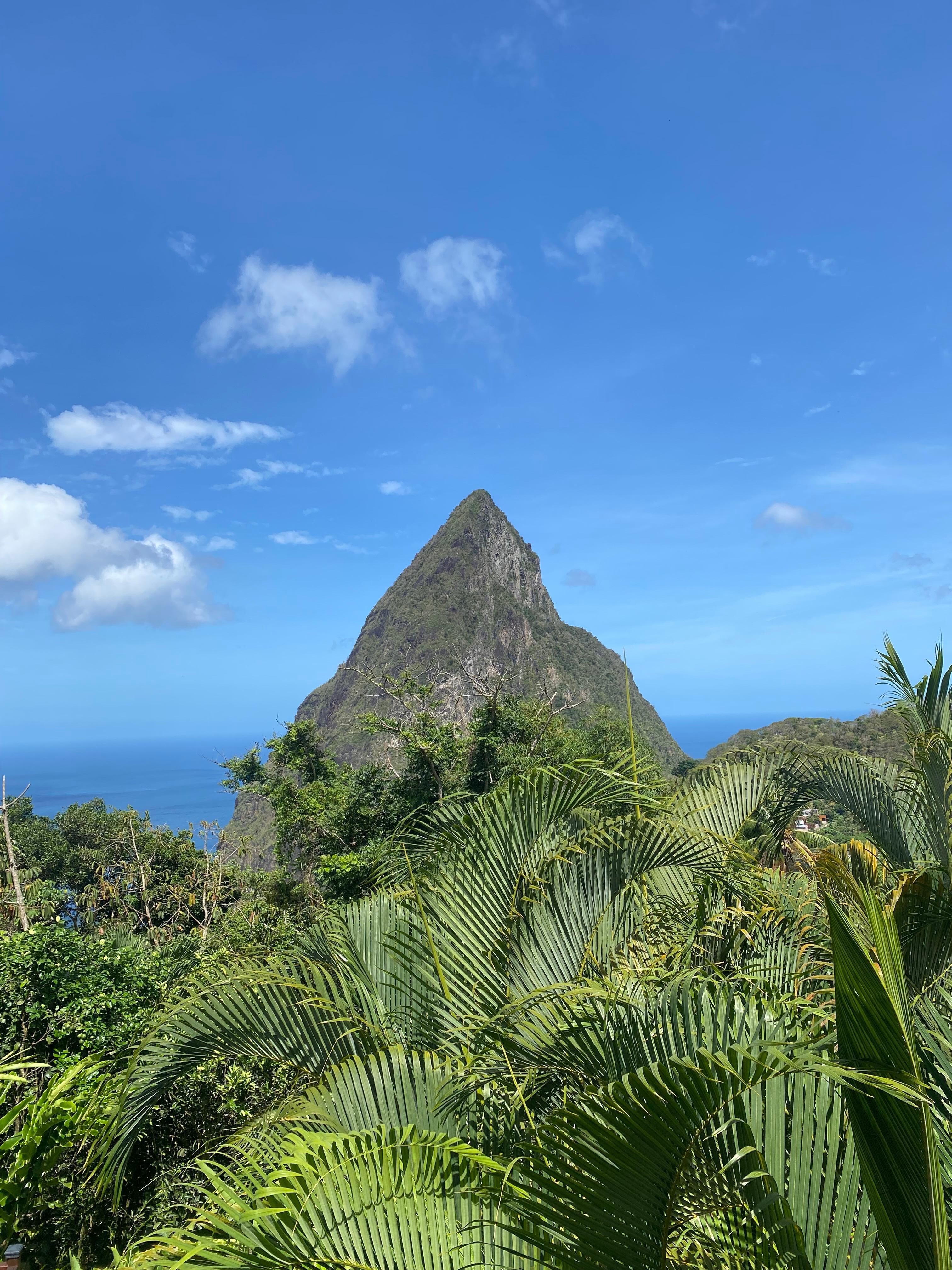 View from porch