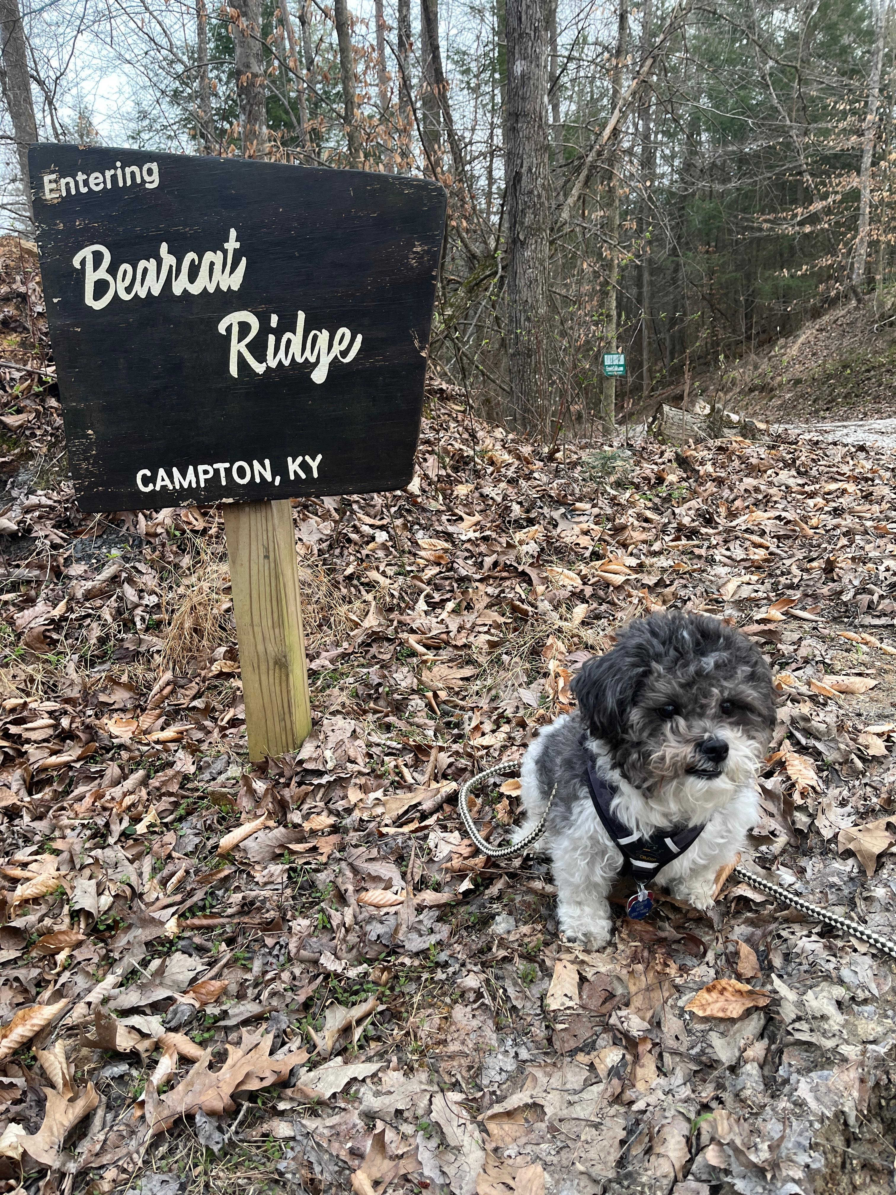 Sign at the entrance.