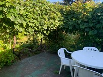 Berries and outdoor seating! A pleasure!
