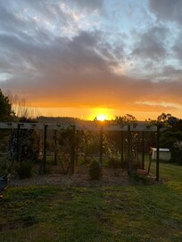 Sunset from the property
