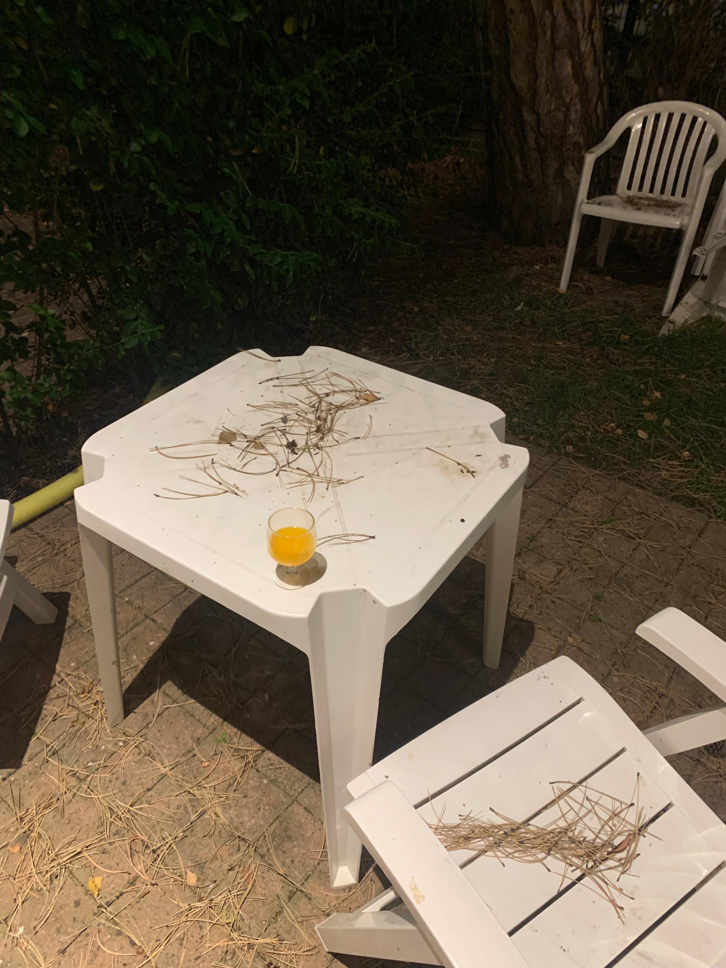 Terrasse en mauvais état . Pas de nettoyage avant mon arrivée . 