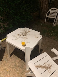 Terrasse en mauvais état . Pas de nettoyage avant mon arrivée .