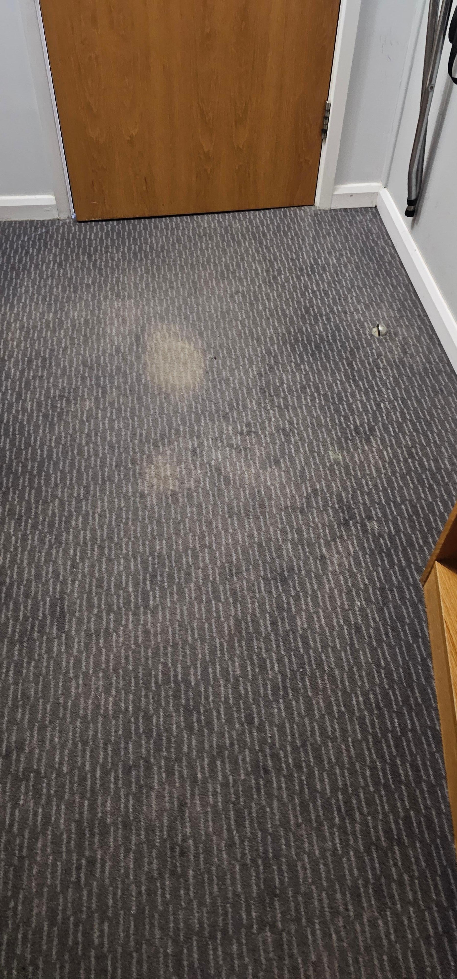 Stains on carpet