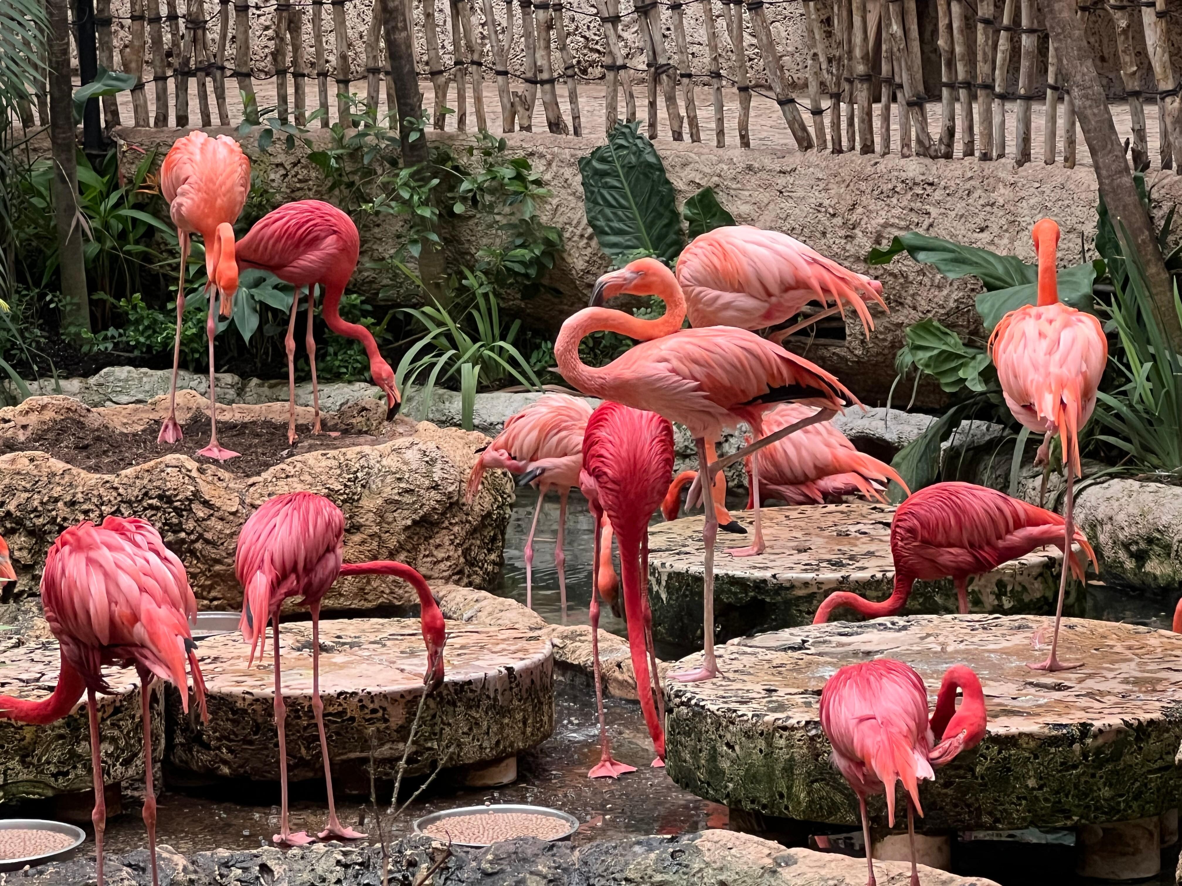 Dallas aquarium