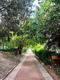 O caminho para a Igreja onde São Francisco recebeu a revelação da sua missão muito lindo, com rosas e muitos nomes gravados no piso