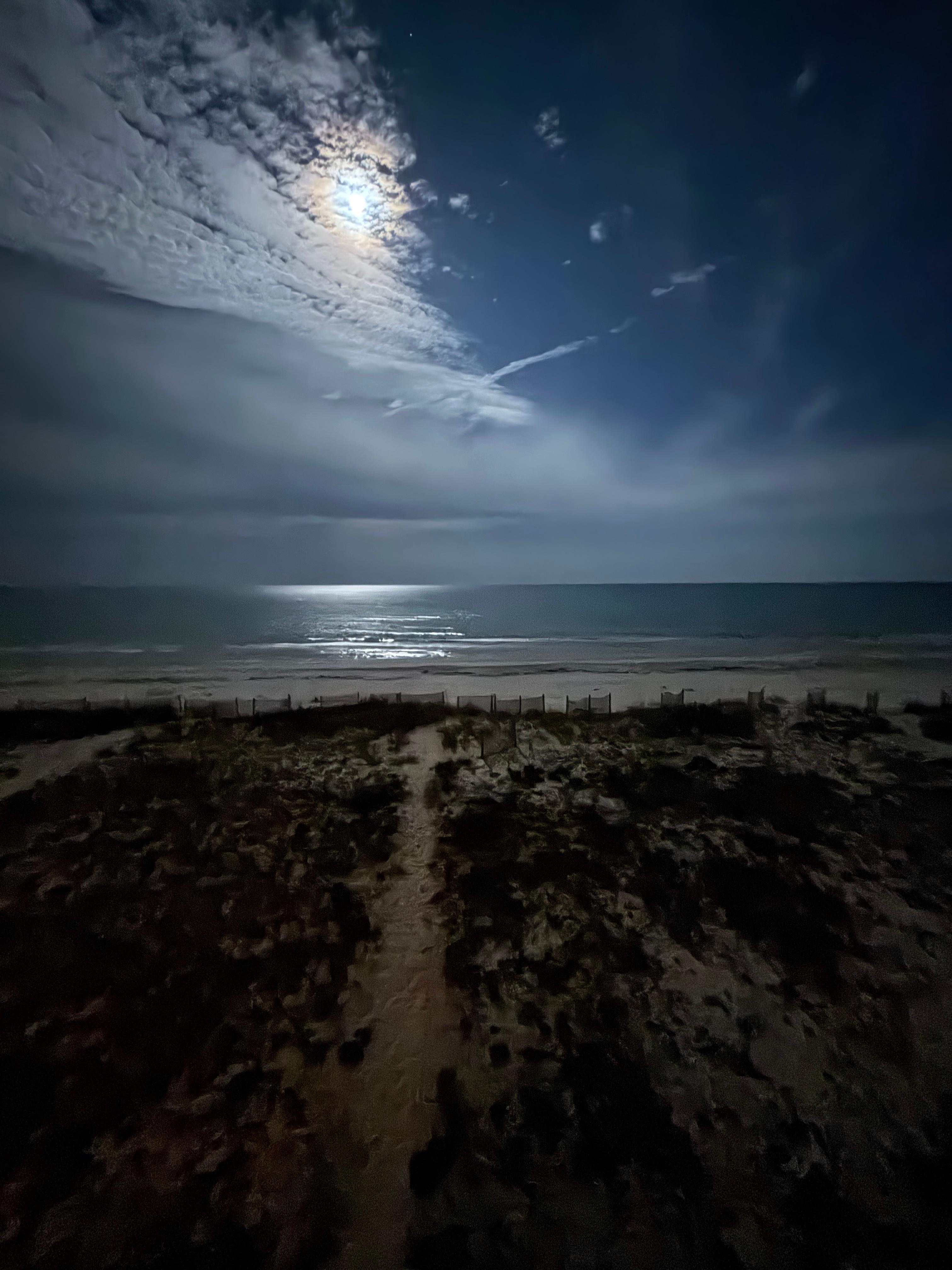Night view of the Gulf 