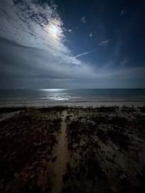 Night view of the Gulf