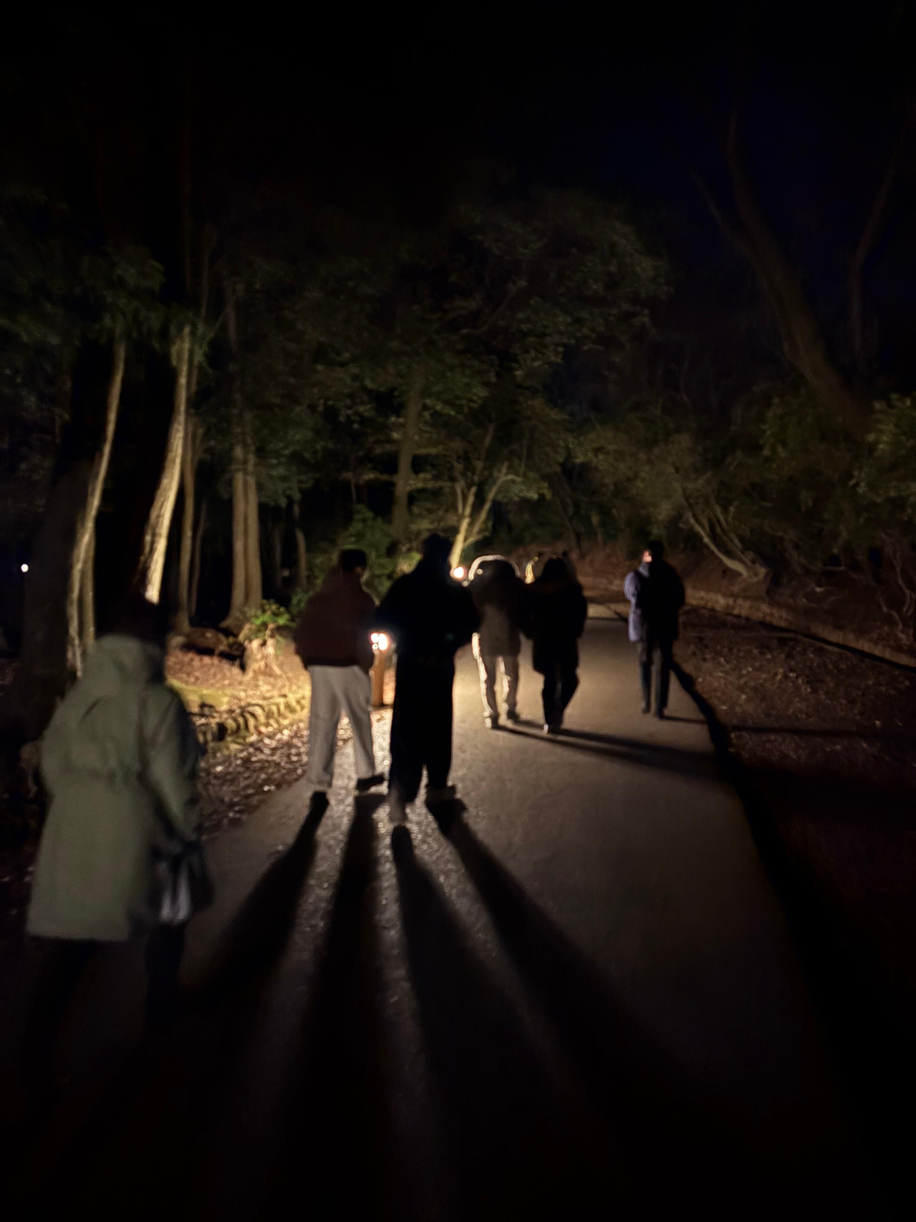 若草山のナイトハイク。無料のサービスでした。
