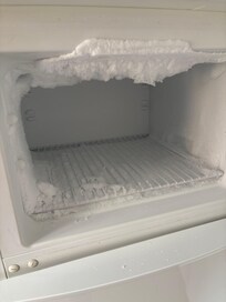 Freezer barely closed when we arrived