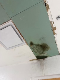 Hallway ceiling falling mold exposed