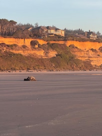 The house from the beach.