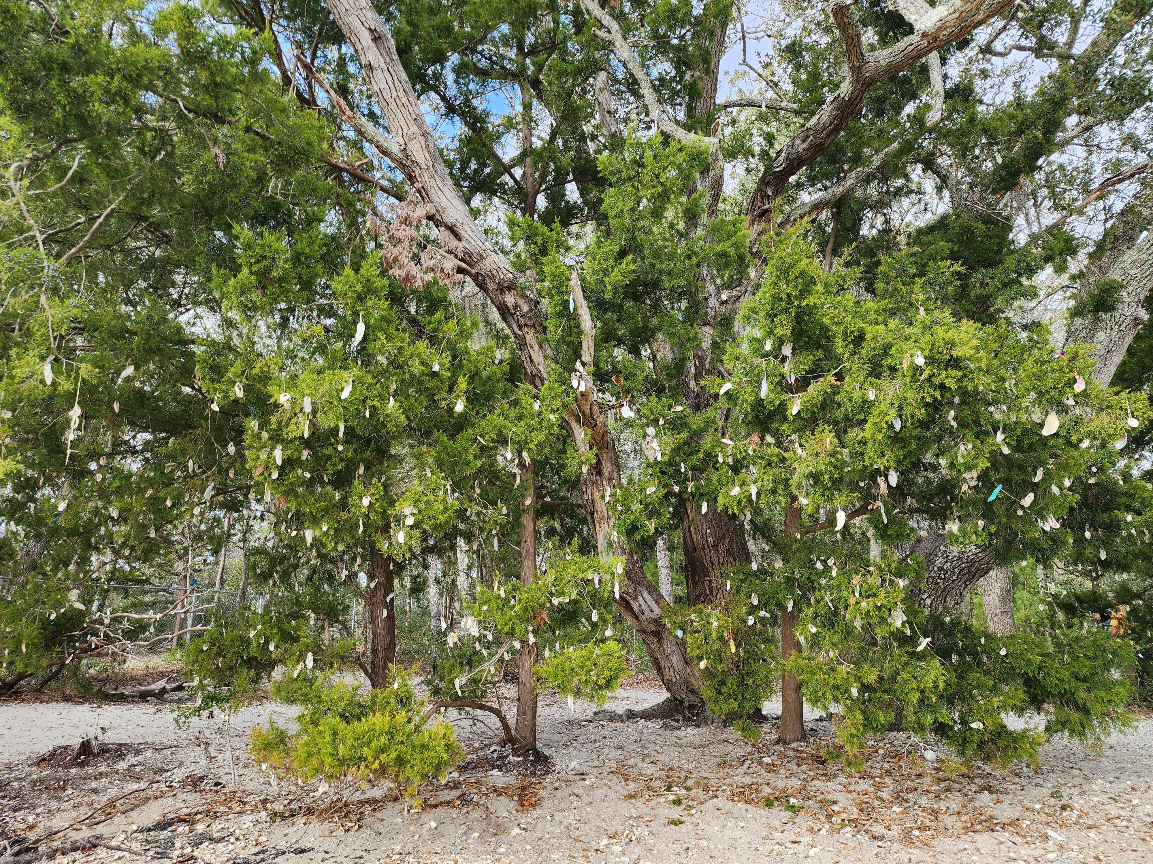 2250 SC-179, Little River, SC 29566