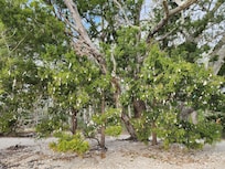 2250 SC-179, Little River, SC 29566