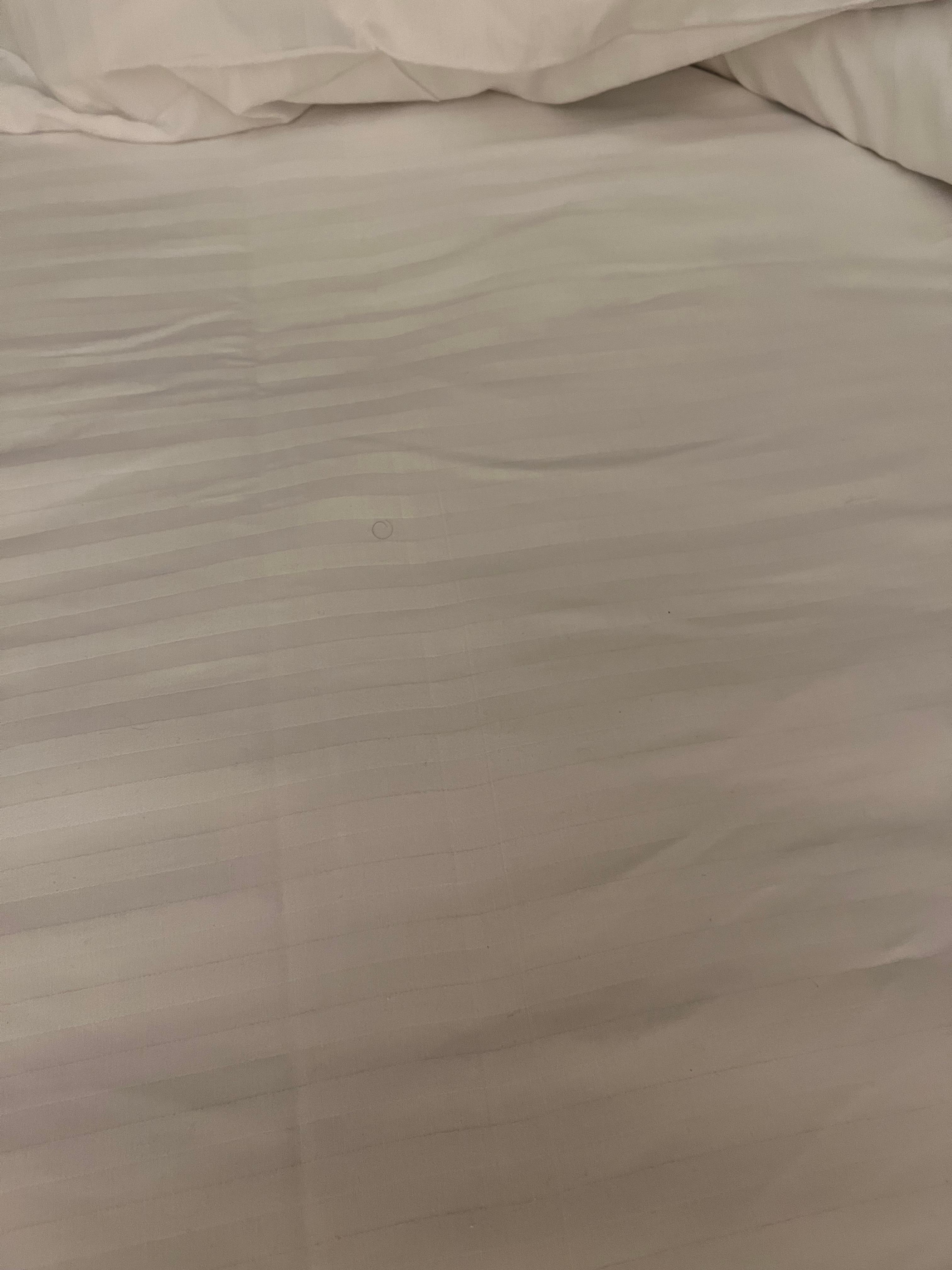 Man’s body hair in sheets upon check in 