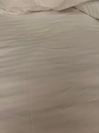 Man’s body hair in sheets upon check in