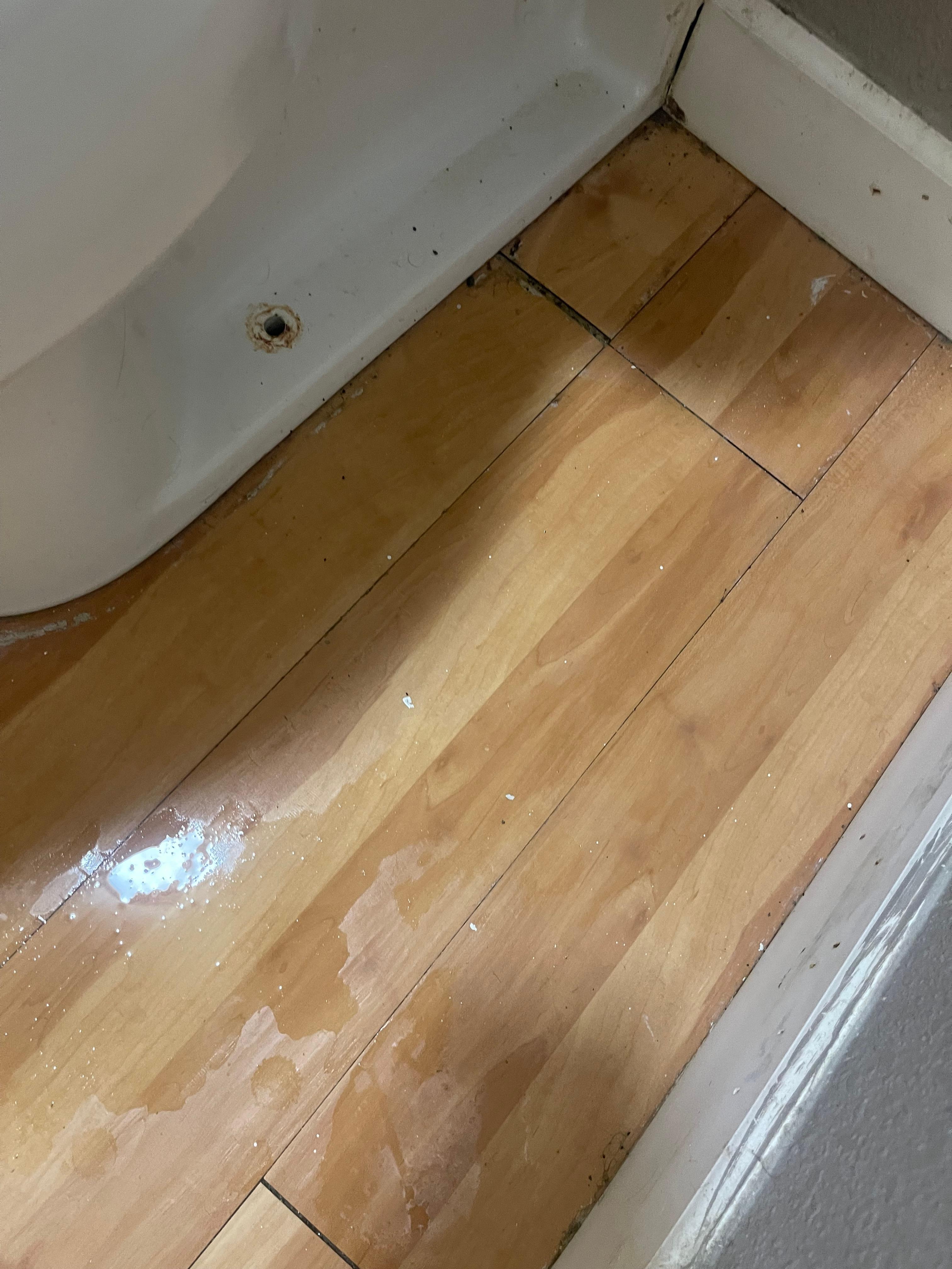 Water coming from under the toilet when you flush 