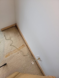 Living room , one of many stains also carpet needs to be ripped out as coming of the walls and a hump coming up .