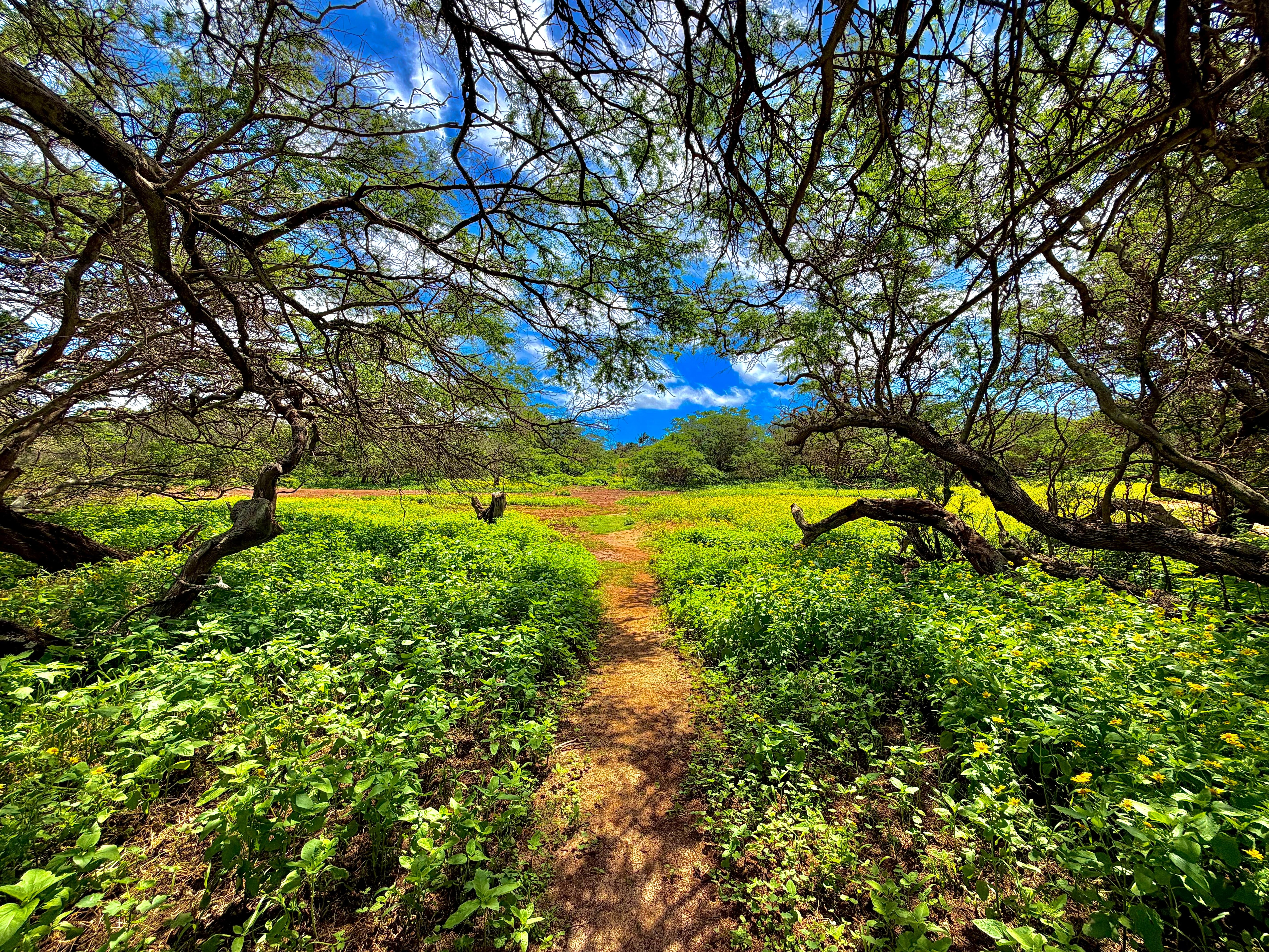 Trail to Make Horse Beach
