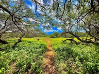 Trail to Make Horse Beach
