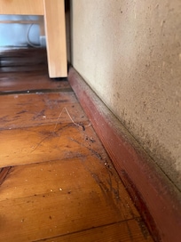 Festgeklebter Schmutz an Leisten (sah an sehr vielen Stellen so aus)