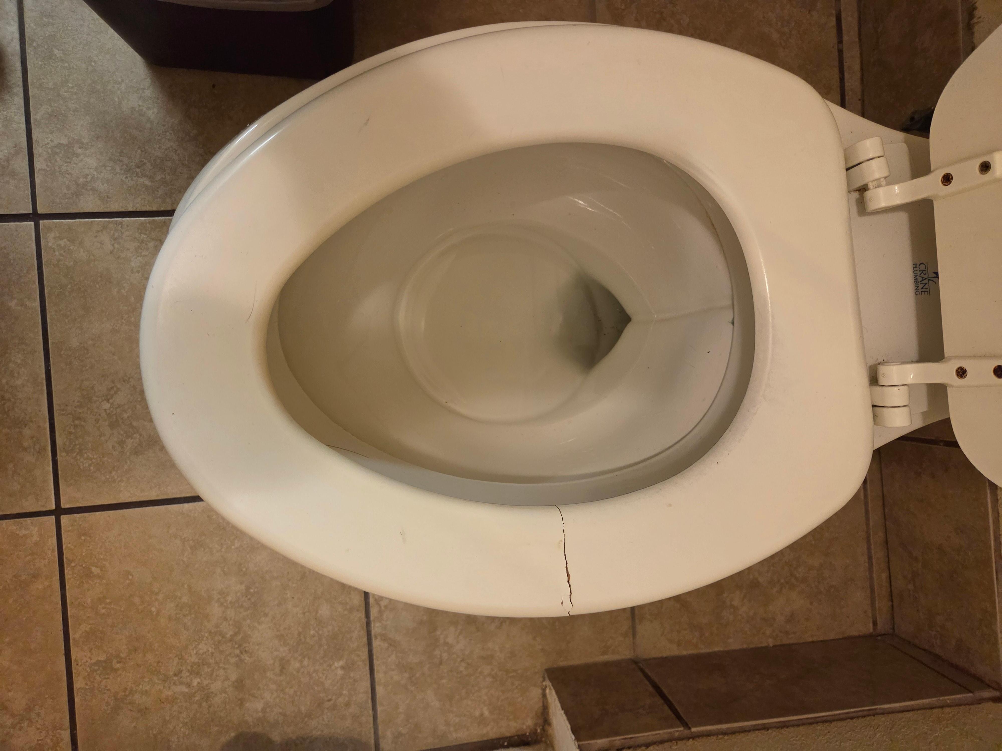 Broken toilet seat