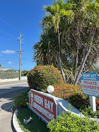 Blue iguana zoomed out to show Moon Bay