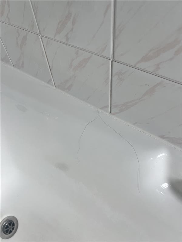 Hair in bathroom upon check in