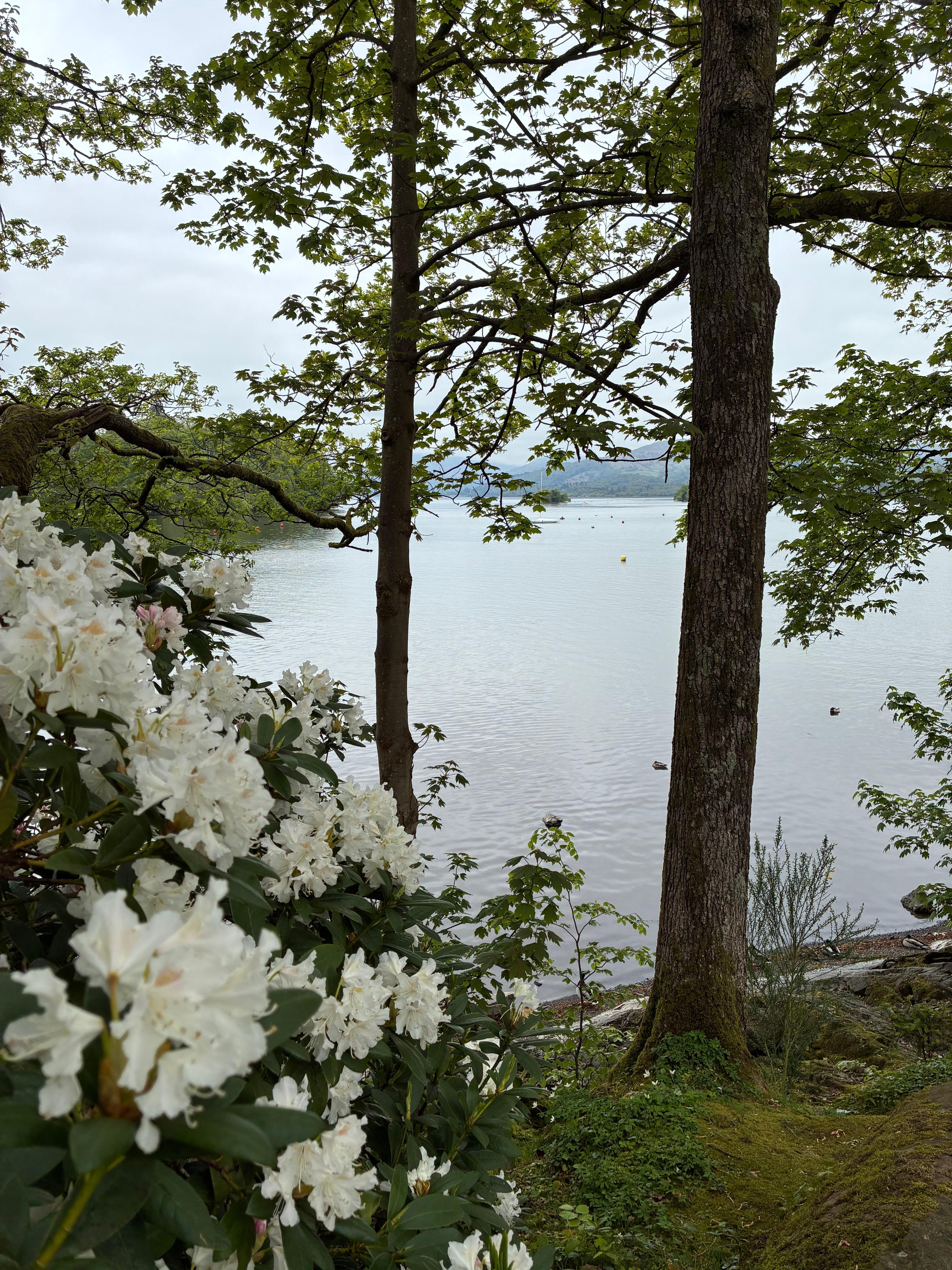 Bowness on Windermere