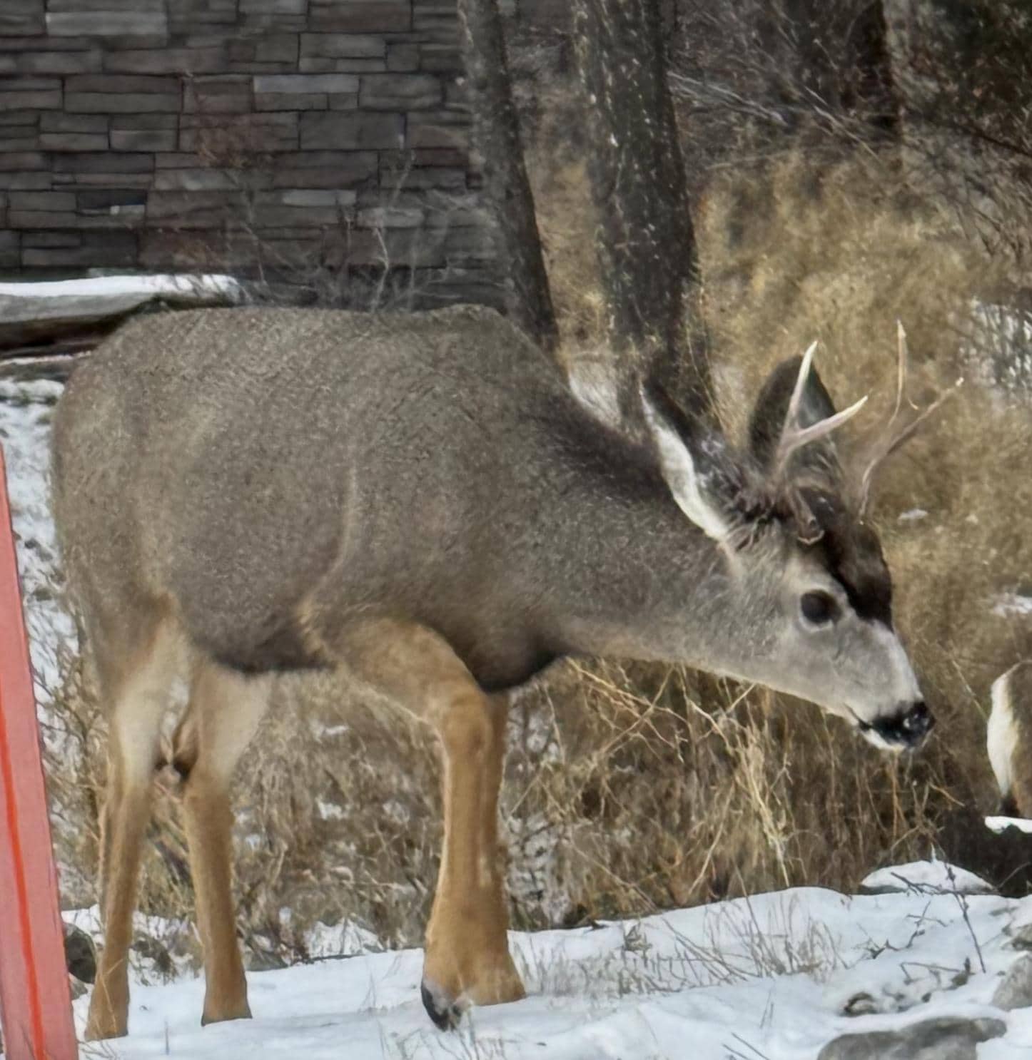 An abundance of wildlife