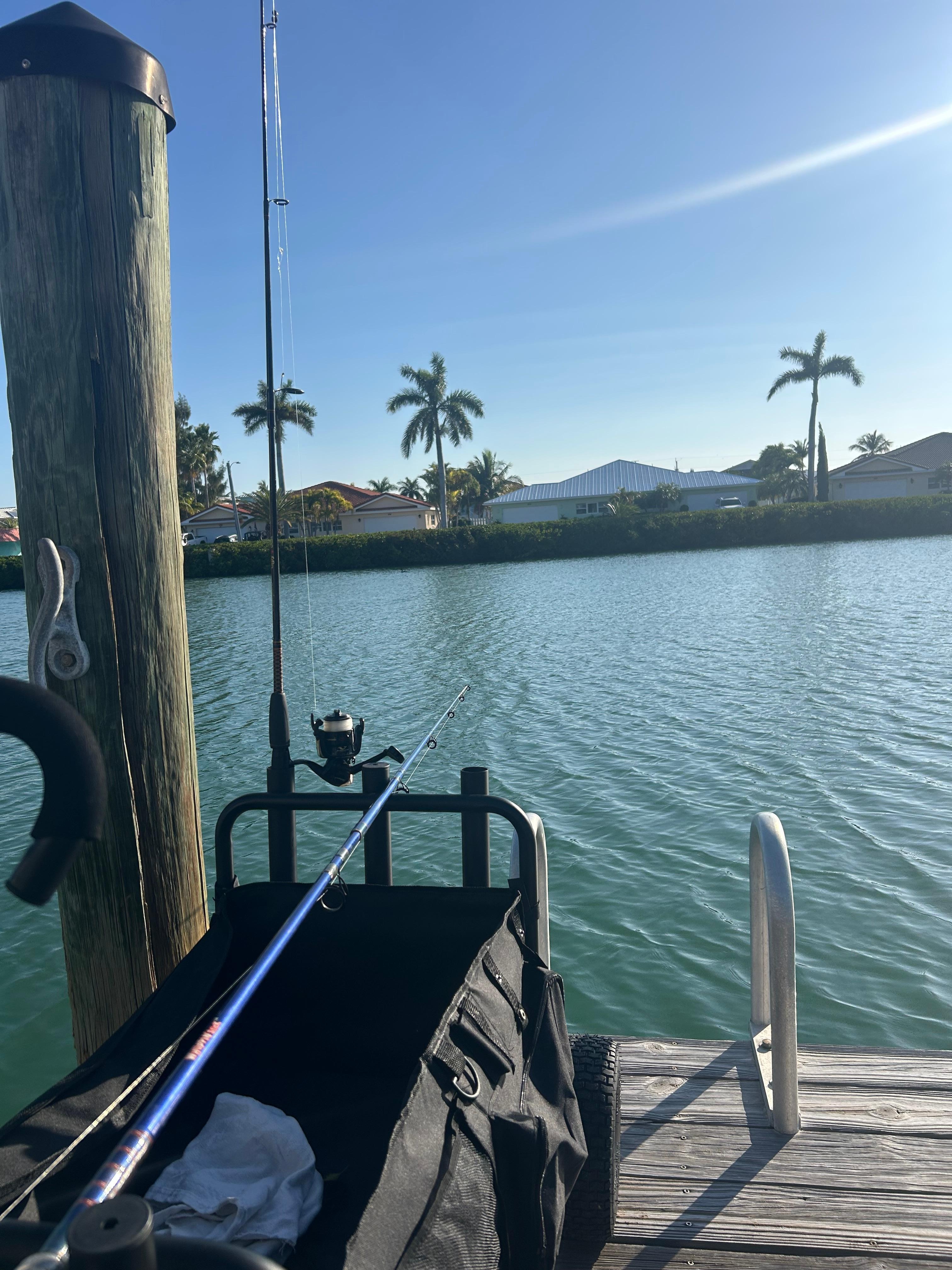 A view from the end of the pier.