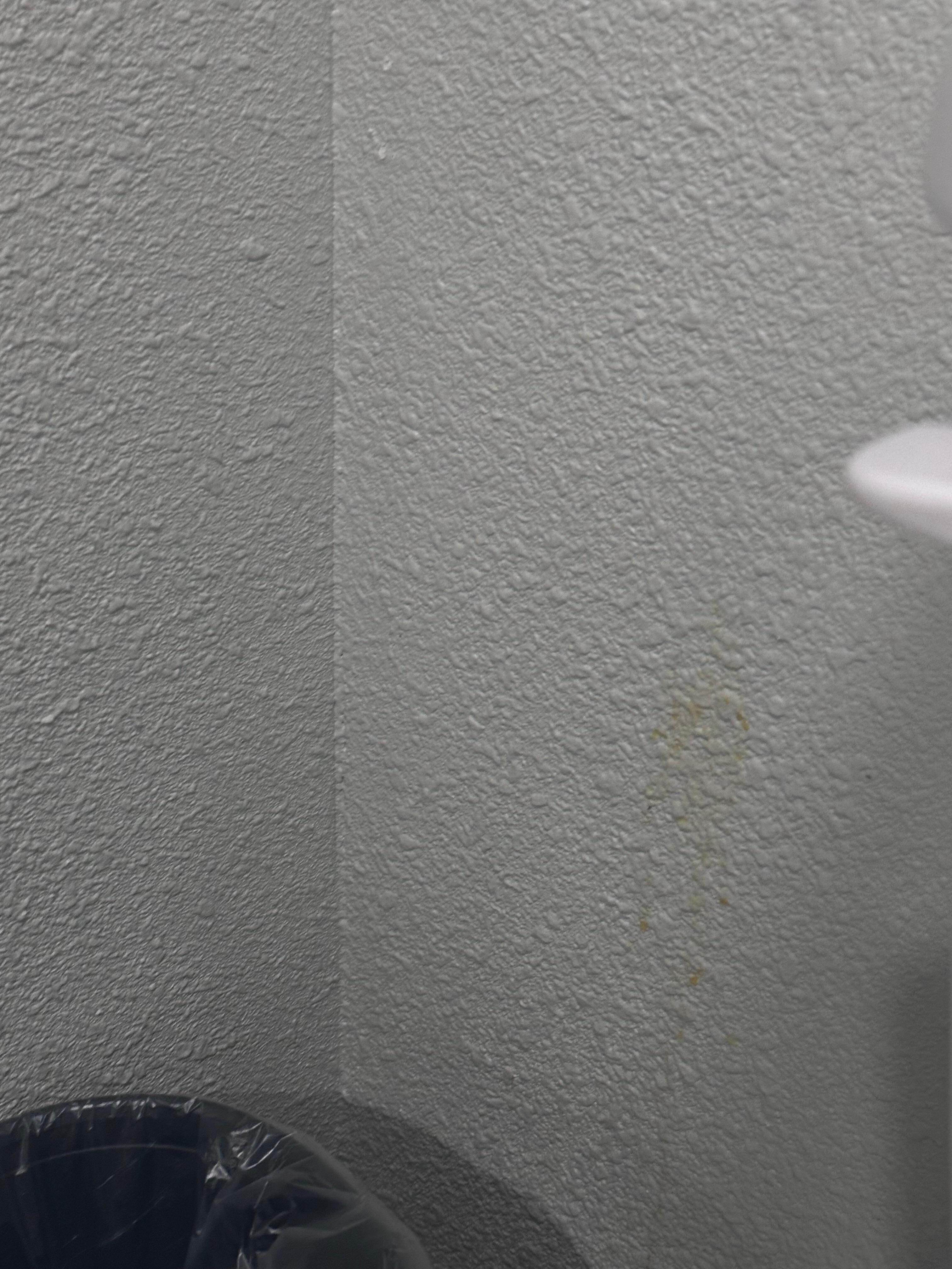 Pee or stains on walls by toilet