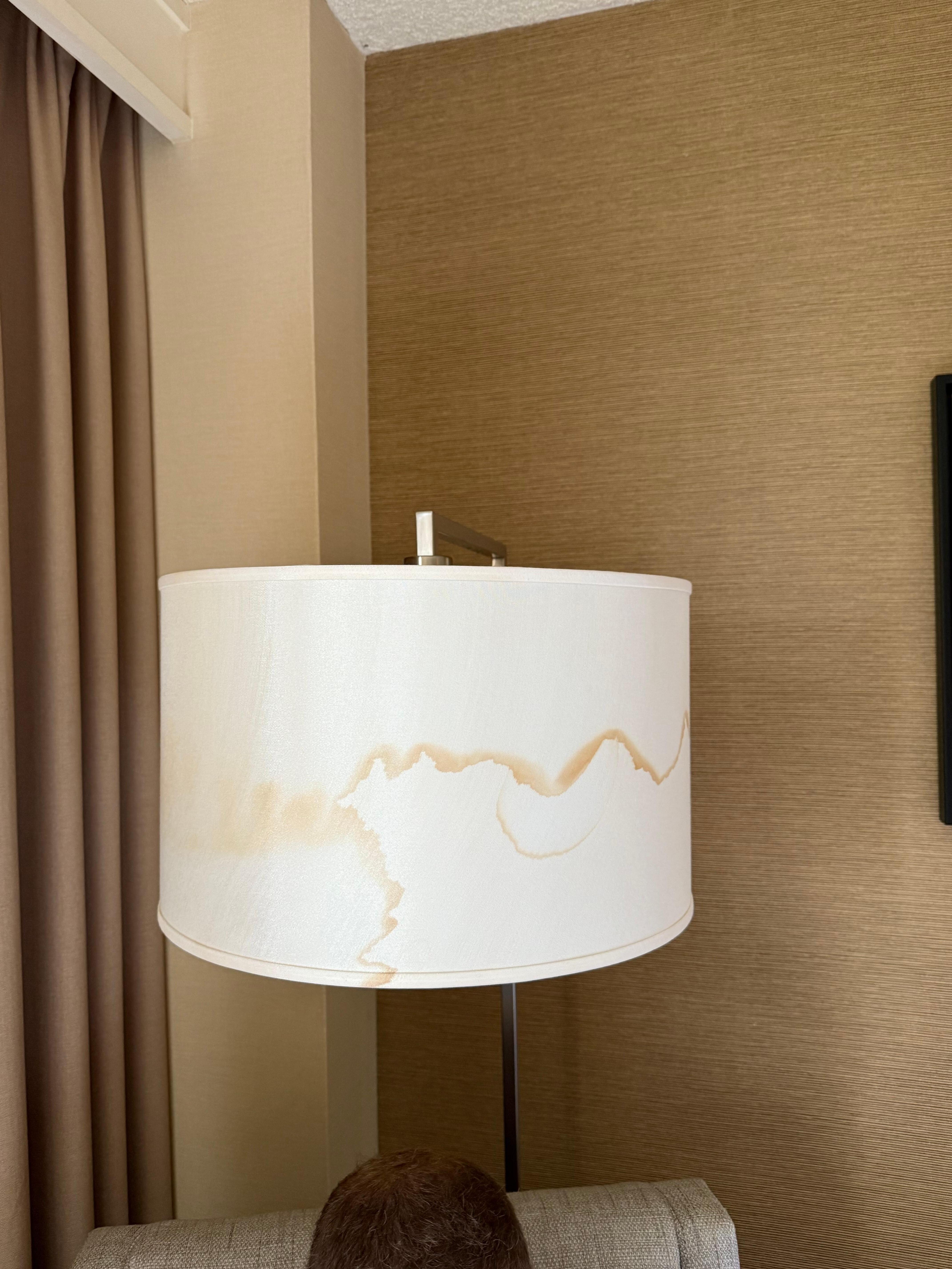 Water damaged lamp shade