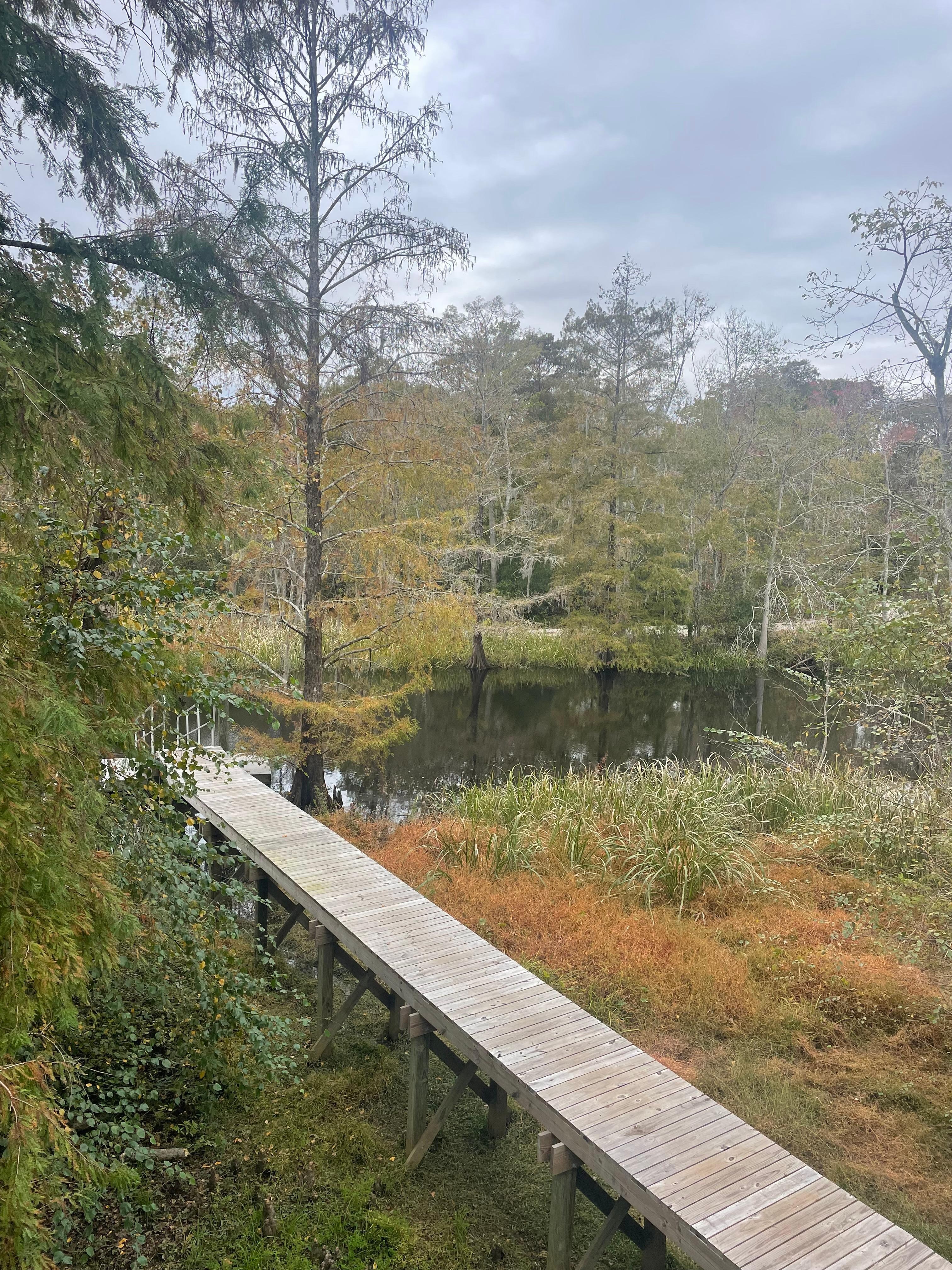 View off the deck of the Inlet