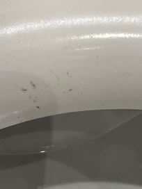 Toilettenbrille
So sah die Toilette und Brille bei unserer Ankunft aus!