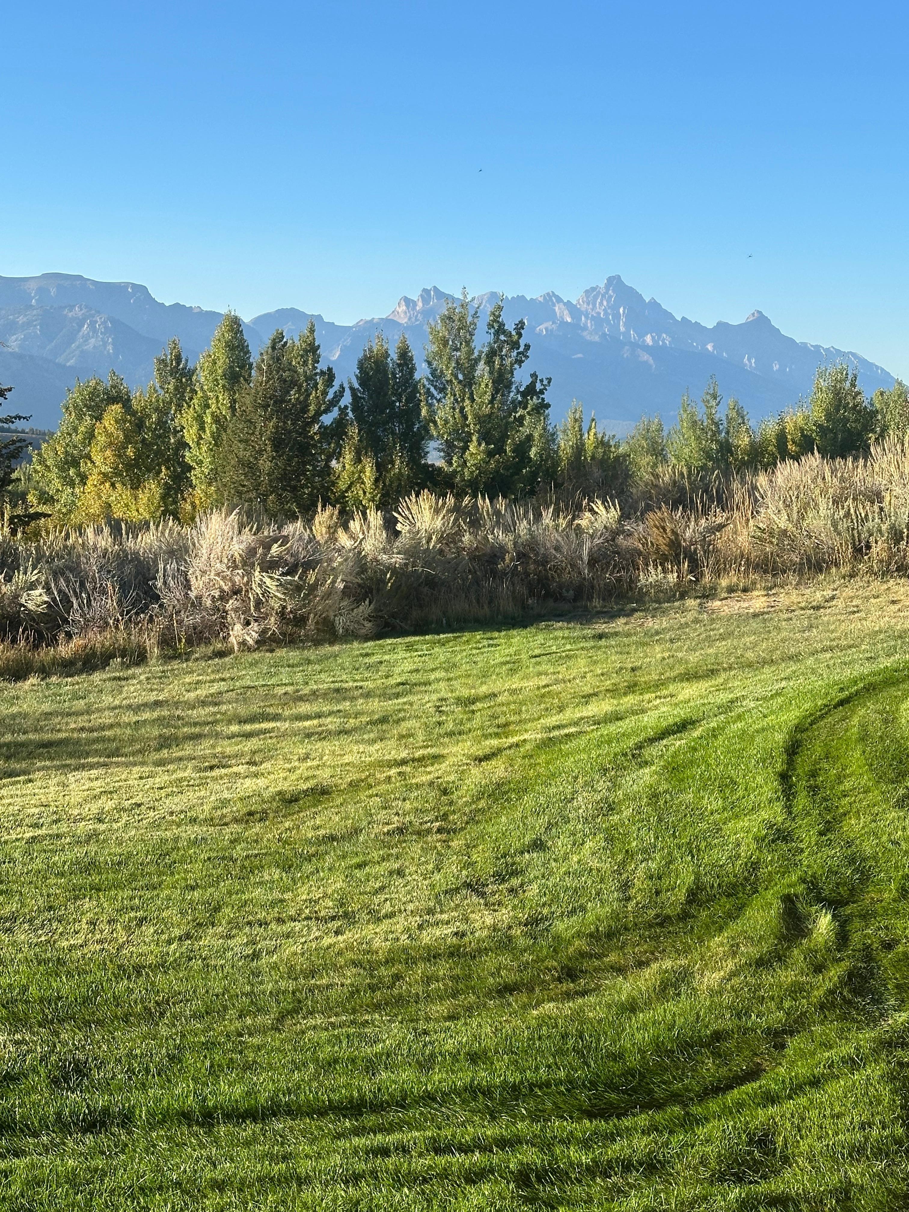 view from patio and living area 