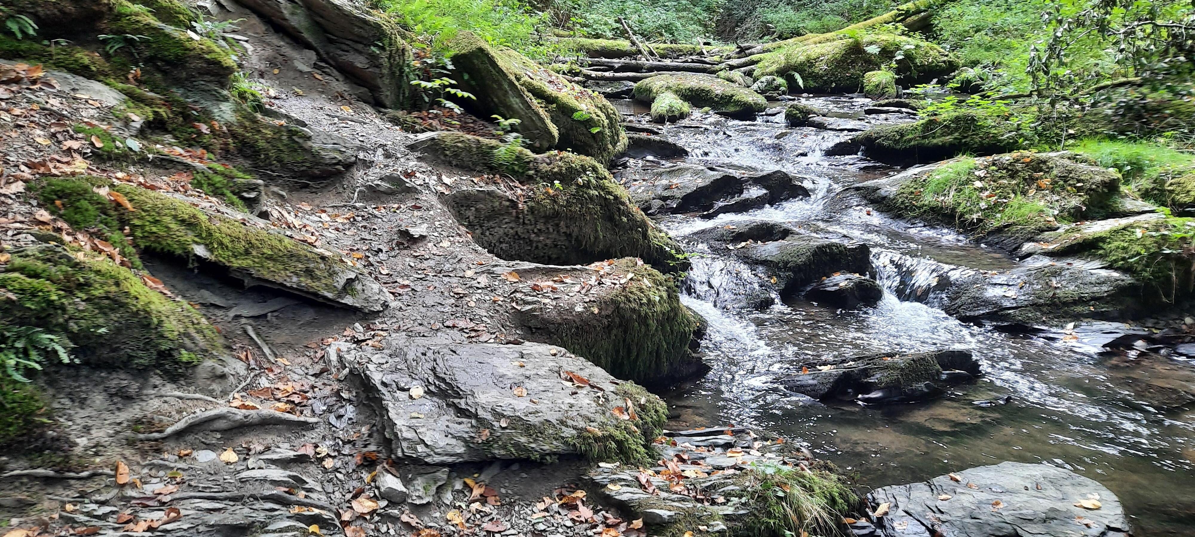 Traumschleife Ehrbachklamm