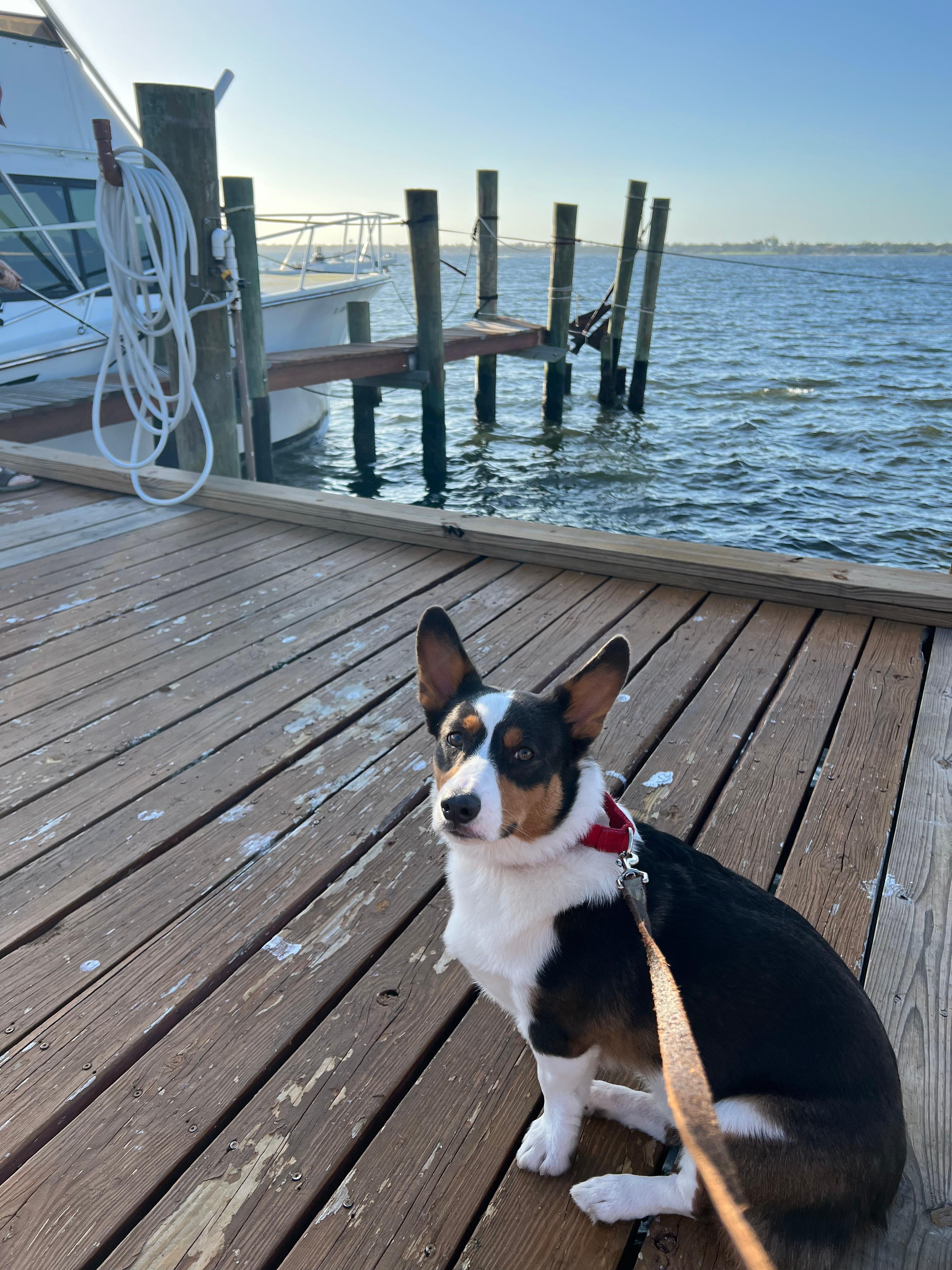 We all loved the view from the dock. 