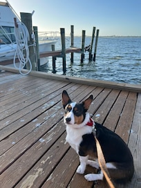 We all loved the view from the dock.