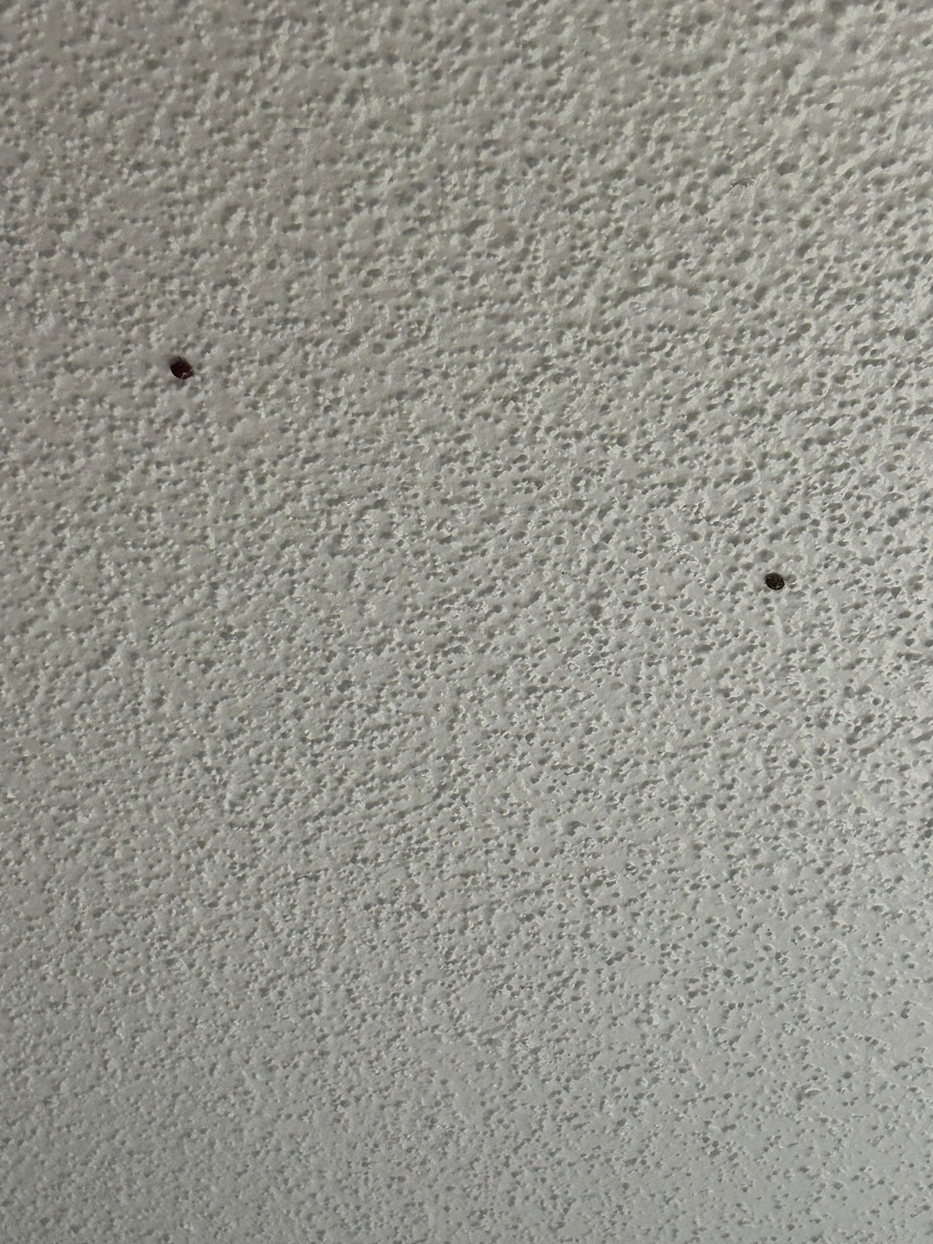 Bugs on the ceiling