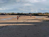 low tide; just down a small embankment at the edge of the property